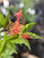 IMG_6735.jpeg