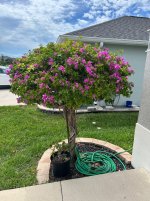 IMG_6755.jpeg