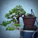 IMG_1580.jpeg