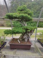 IMG20250628143209.jpg IMG20250628143209.jpg