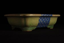 IMG_1821.jpg