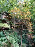 IMG_20250908_125229.jpg