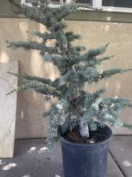 IMG_1293.jpeg