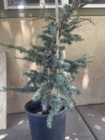 IMG_1294.jpeg
