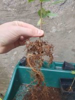 20250906_132429 (1).jpg