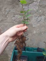 20250906_133856 (1).jpg