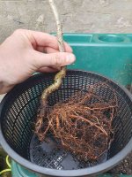 20250906_163713 (1).jpg