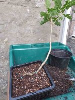 20250906_165012 (1).jpg