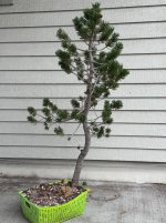 IMG_1206.jpeg