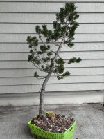 IMG_1205.jpeg
