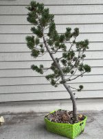 IMG_1204.jpeg