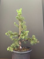 DAS-20250912-IMG_6754.jpeg