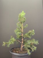 DAS-20250912-IMG_6756.jpeg