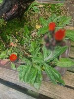 20250903_082124.jpg