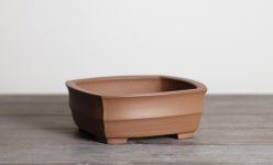 IMG_1709.jpeg IMG_1709.jpeg