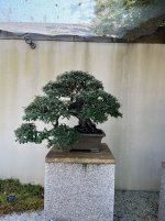 IMG_5270.jpeg