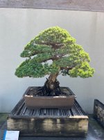 IMG_5269.jpeg