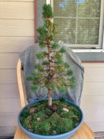 IMG_1135.jpeg