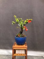 IMG_9346.JPG