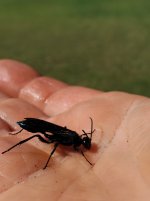 20250914_111745.jpg