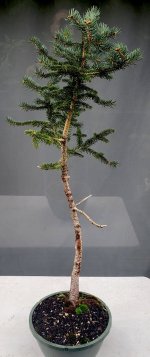 20250805_091527.jpg
