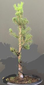 IMG_5629.jpeg