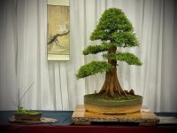 IMG_3945.jpeg