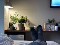 IMG_7945.jpeg