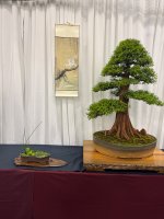 IMG_7930.jpeg