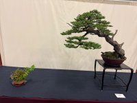 IMG_7926.jpeg