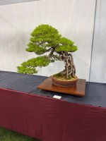 IMG_7920.jpeg