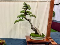 IMG_3894.jpeg