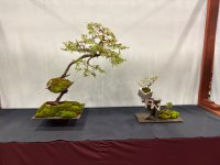 IMG_3903.jpeg