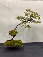 IMG_3906.jpeg