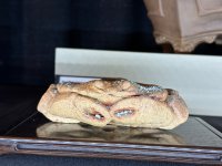 IMG_1604.jpeg