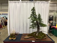 IMG_3933.jpeg