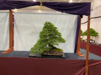 IMG_8767.JPG