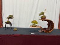 IMG_1983.jpeg