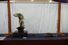 DSCF7397.JPG