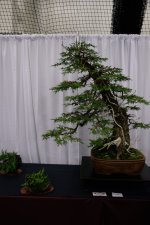 DSCF7109.JPG