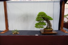 DSCF7418.JPG