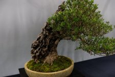 DSCF7328.JPG