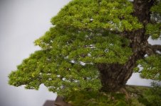DSC_8670.jpg