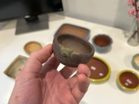 IMG_4232.jpeg