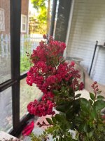 IMG_9267.jpeg