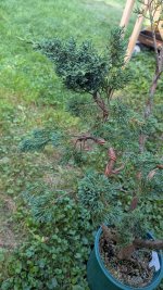 1000009059.jpg 1000009059.jpg