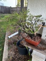 IMG_4437.jpeg