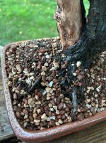 IMG_4435.jpeg
