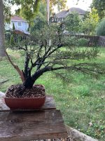 IMG_4432.jpeg