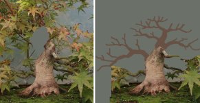 acer palmatum beni tsukasa 2025 09 18 (1virt).jpg acer palmatum beni tsukasa 2025 09 18 (1virt).jpg